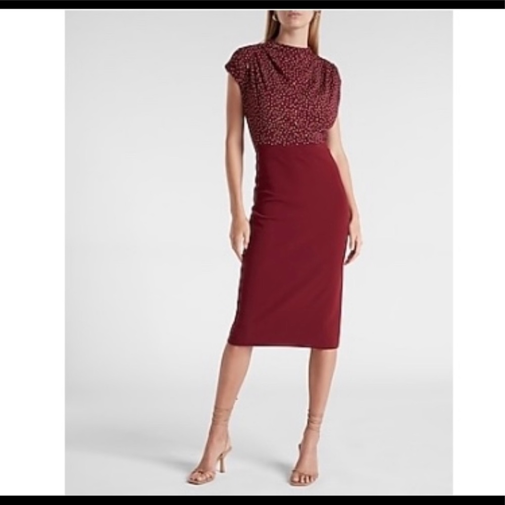 EXPRESS dress